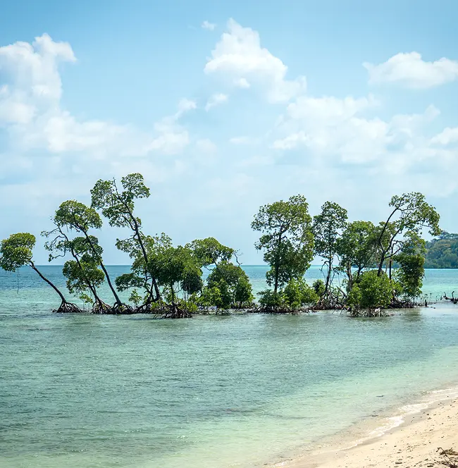 Andaman Nicobar scenery