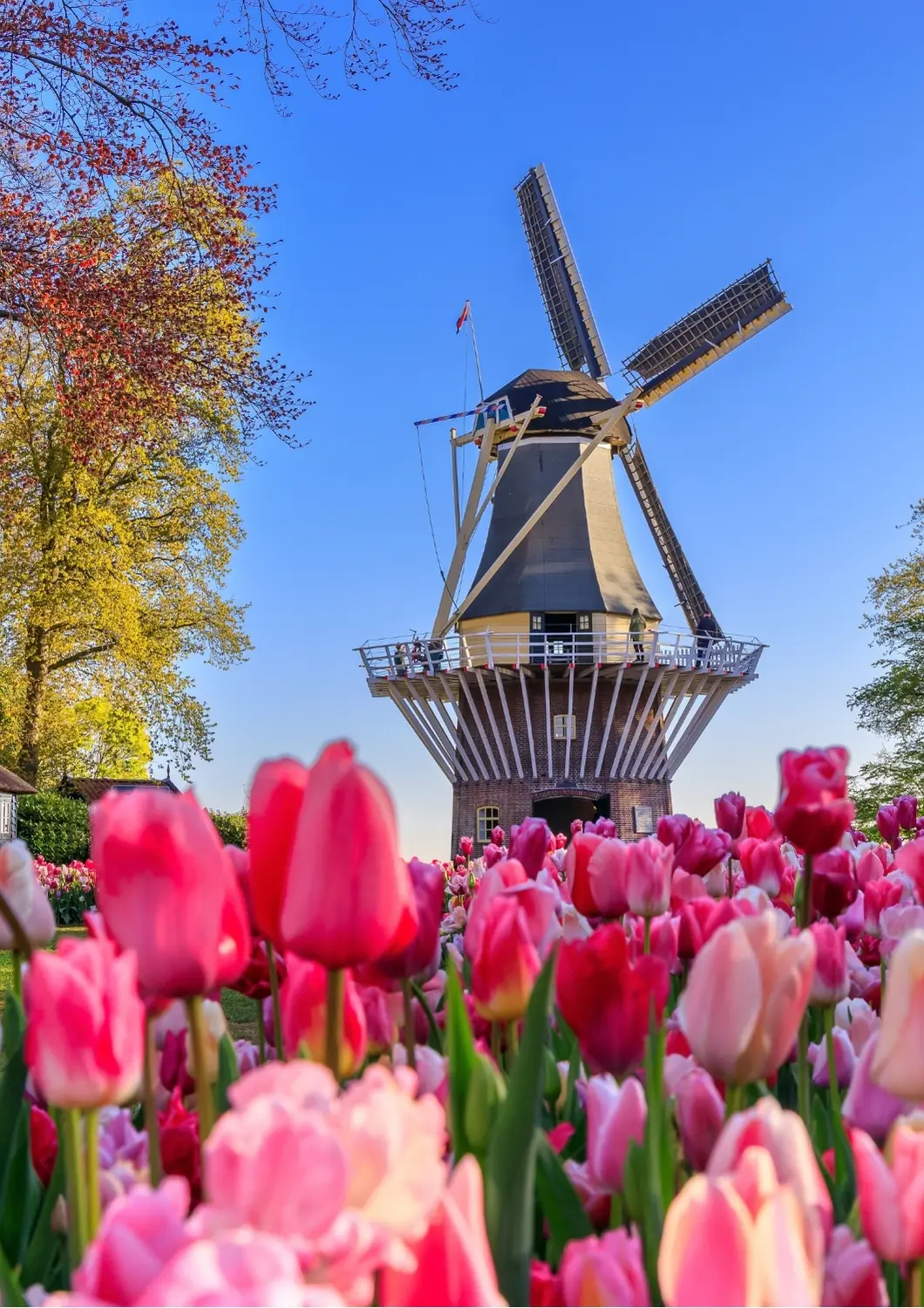 Netherlands scenery